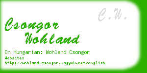 csongor wohland business card